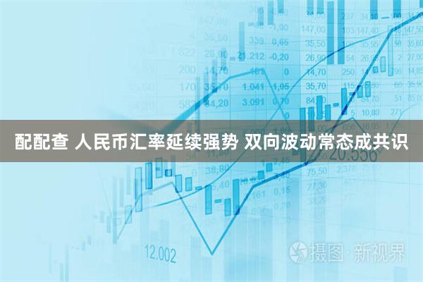 配配查 人民币汇率延续强势 双向波动常态成共识