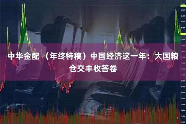 中华金配 （年终特稿）中国经济这一年：大国粮仓交丰收答卷