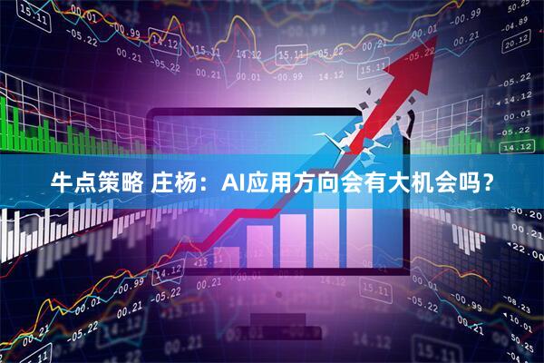 牛点策略 庄杨：AI应用方向会有大机会吗？