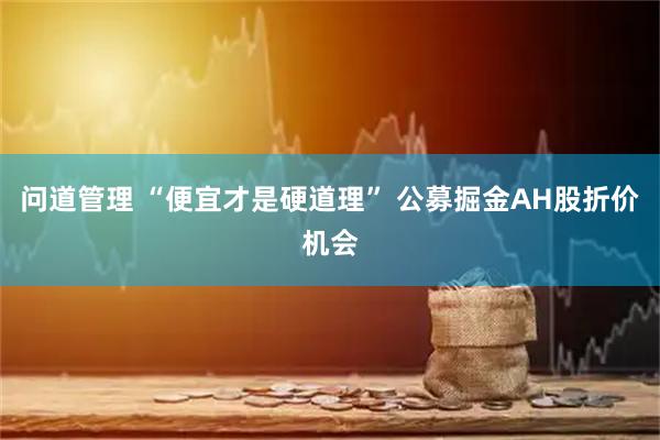 问道管理 “便宜才是硬道理” 公募掘金AH股折价机会